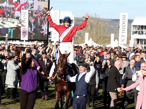 gold cup tips|Boodles Cheltenham Gold Cup: runner.